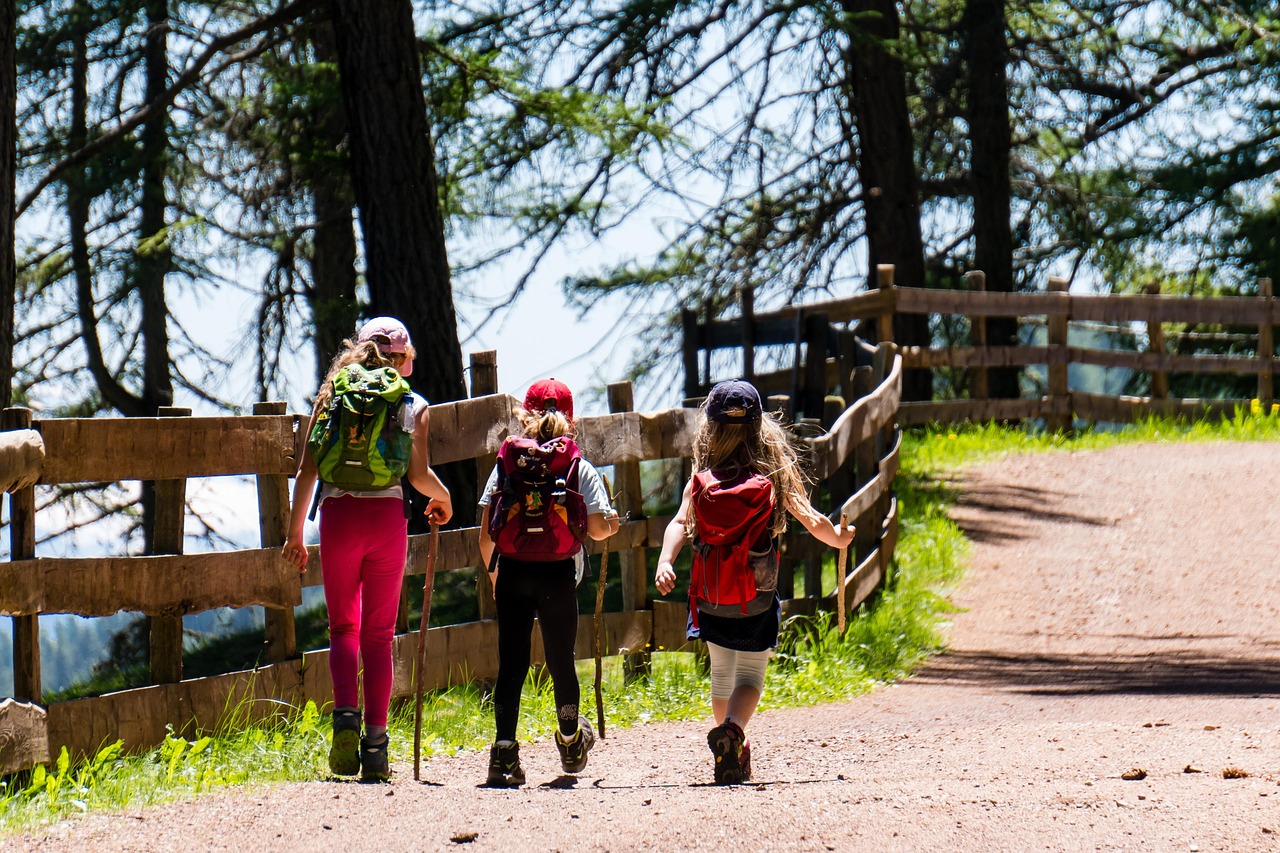 découvrez la randonnée en montagne facile : des itinéraires accessibles pour tous niveaux, profitez de paysages naturels magnifiques et d'une aventure en plein air sans effort.