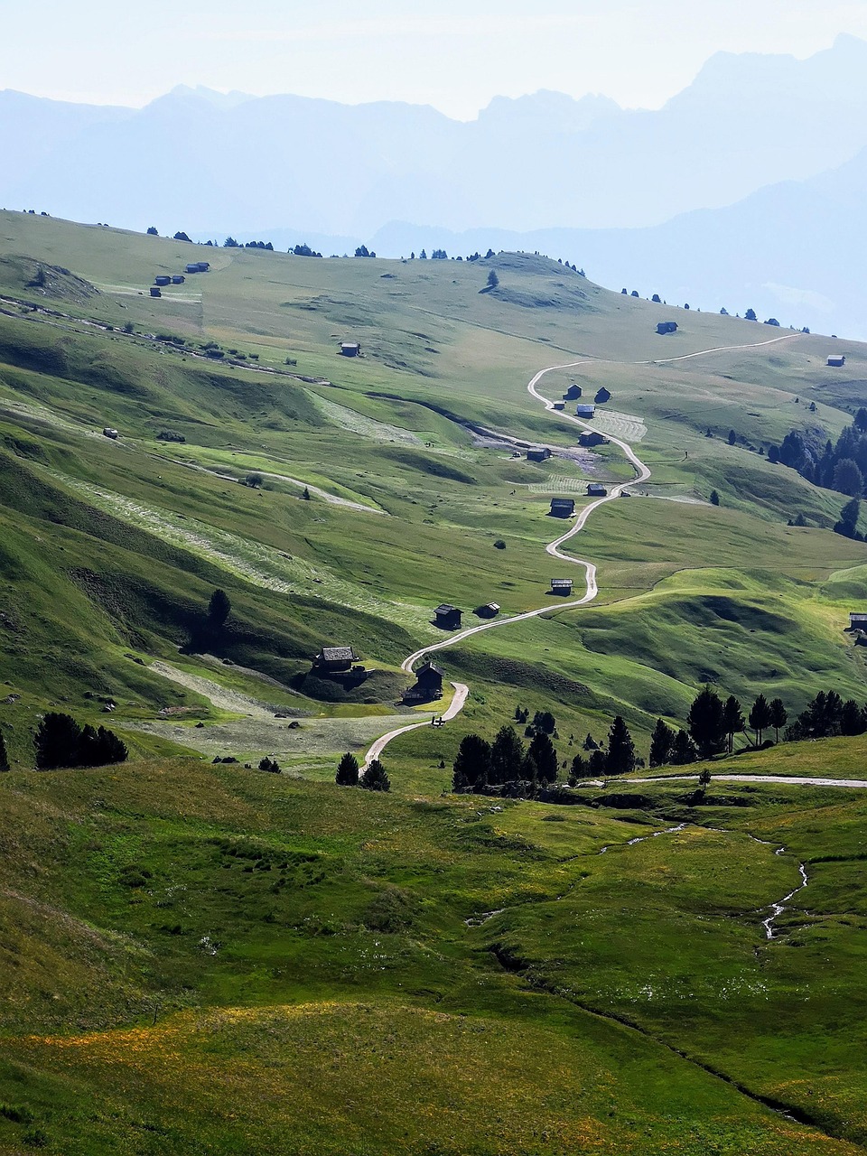 découvrez des randonnées en montagne faciles adaptées à tous les niveaux, idéales pour profiter de la nature en toute sérénité.