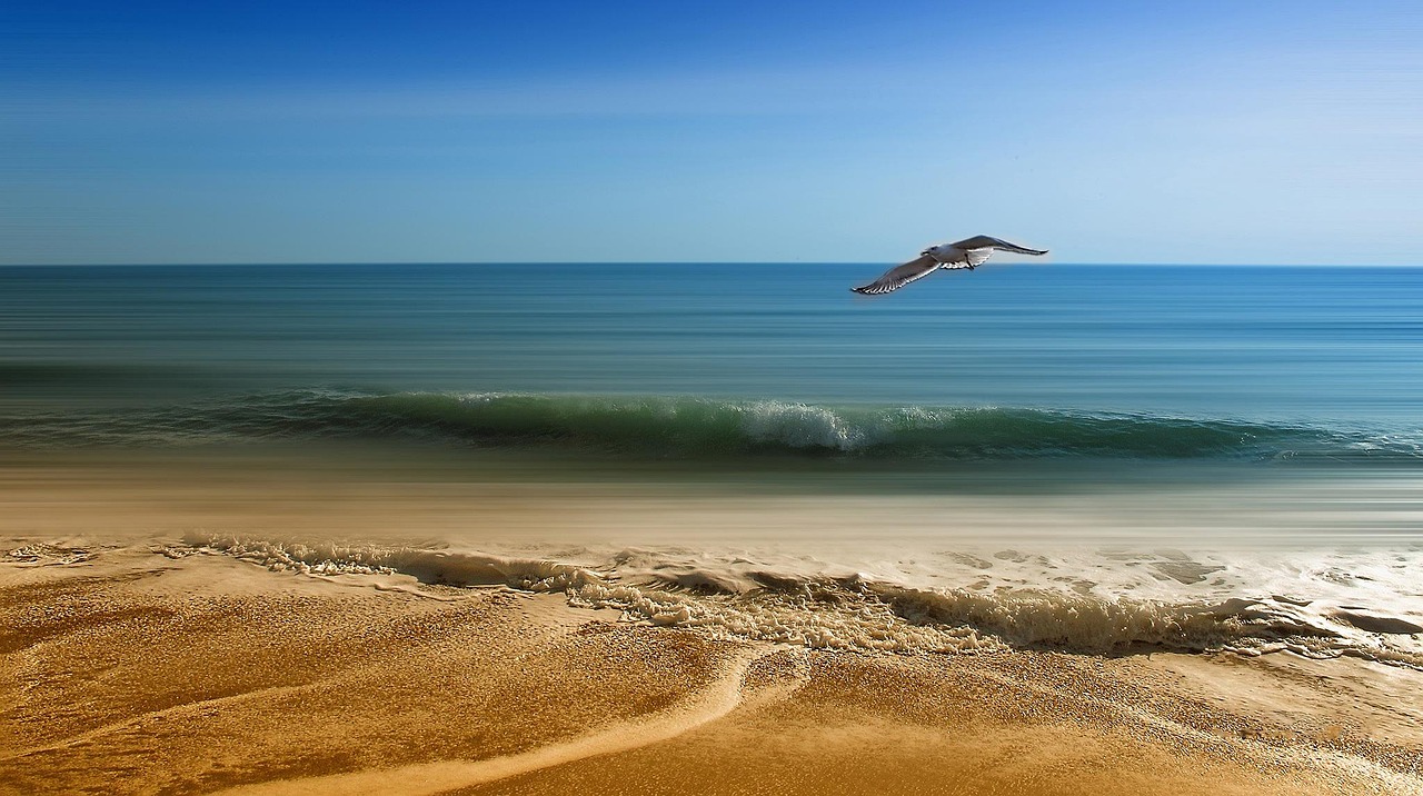 découvrez paradise beach, un havre de paix où sable blanc et eaux cristallines vous accueillent pour des moments inoubliables de détente et de beauté naturelle.