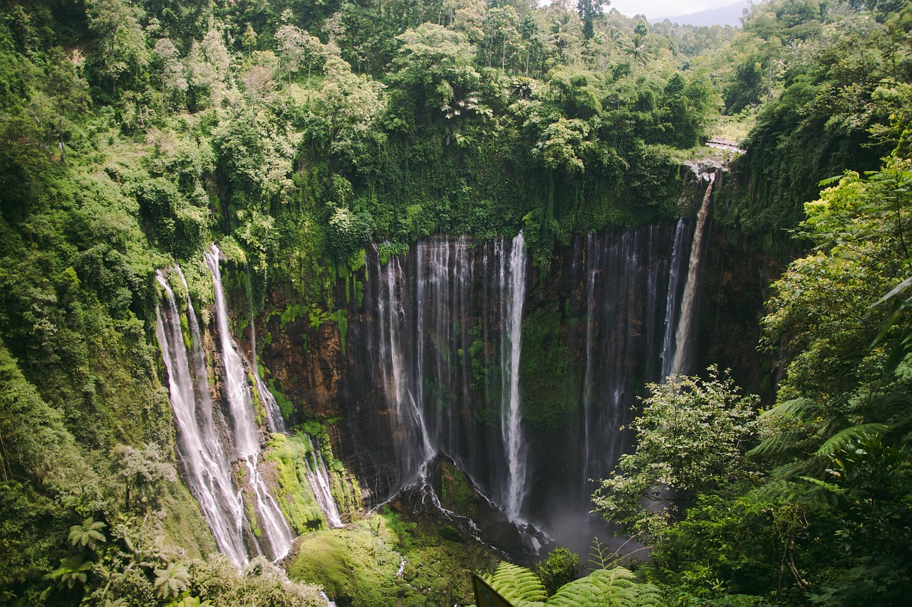 découvrez les plus belles destinations nature, parfaites pour des vacances en plein air, entre montagnes, forêts et lacs. partez à l’aventure et explorez des paysages préservés, idéals pour les amoureux de la nature.