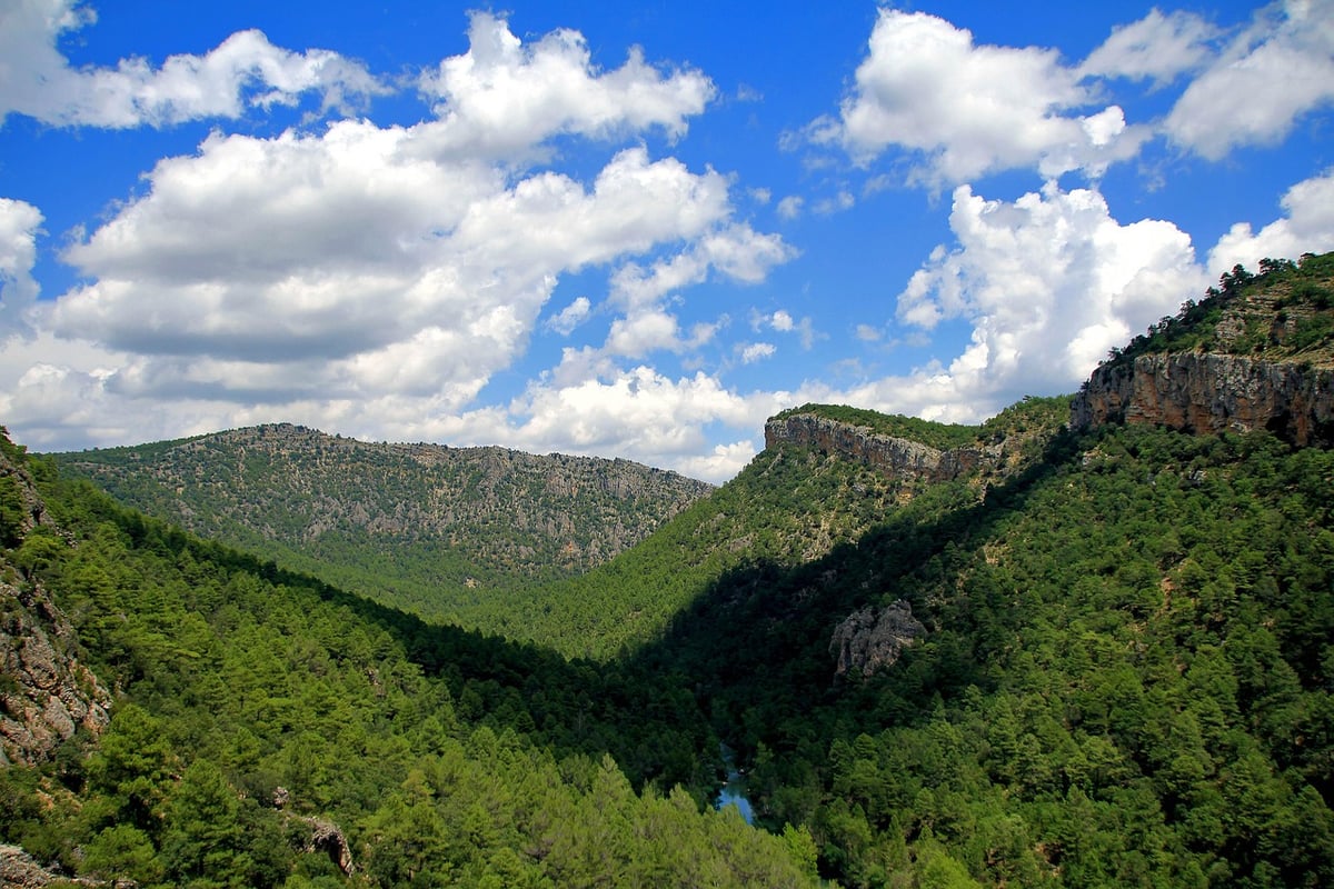 Randonnée montagne facile : les plus beaux sentiers accessibles en 2025