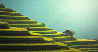 Comment voyager autrement tout en respectant l’environnement ?